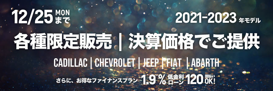 決算価格で大放出 低金利ローン 120回払いOK アメリカ車/欧州車など多数