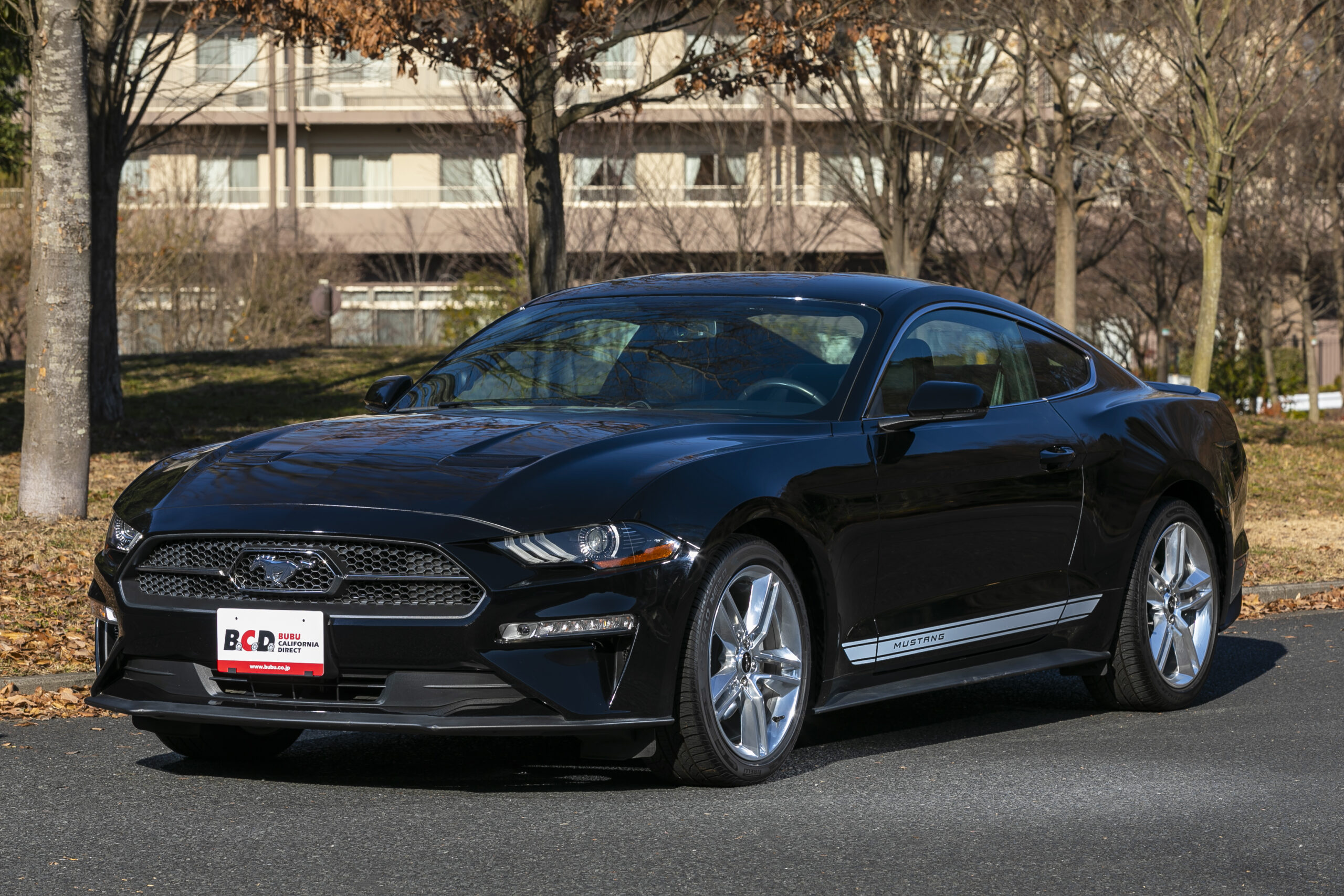 不動車　引取限定　フォード　マスタング　ビーチクルーザー 不動車 引取限定 フォード マスタング ビーチクルーザー