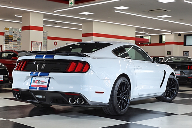 BUBU×アメ車ワールド” 2017 フォードシェルビーGT350 | アメ車