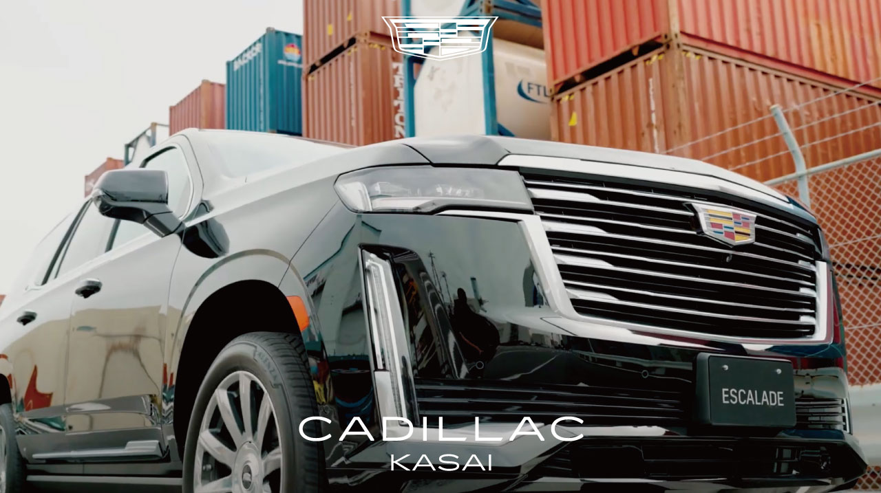 動画のサムネイル