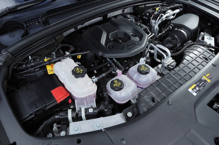 ギャラリー画像