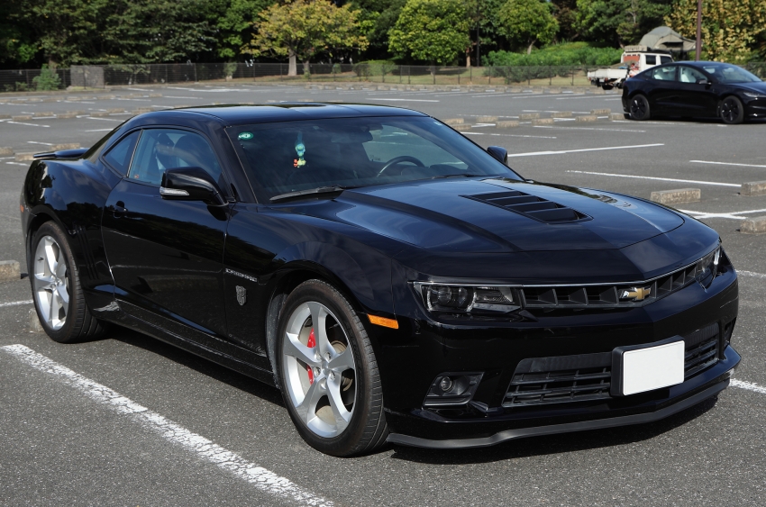 ギャラリー画像