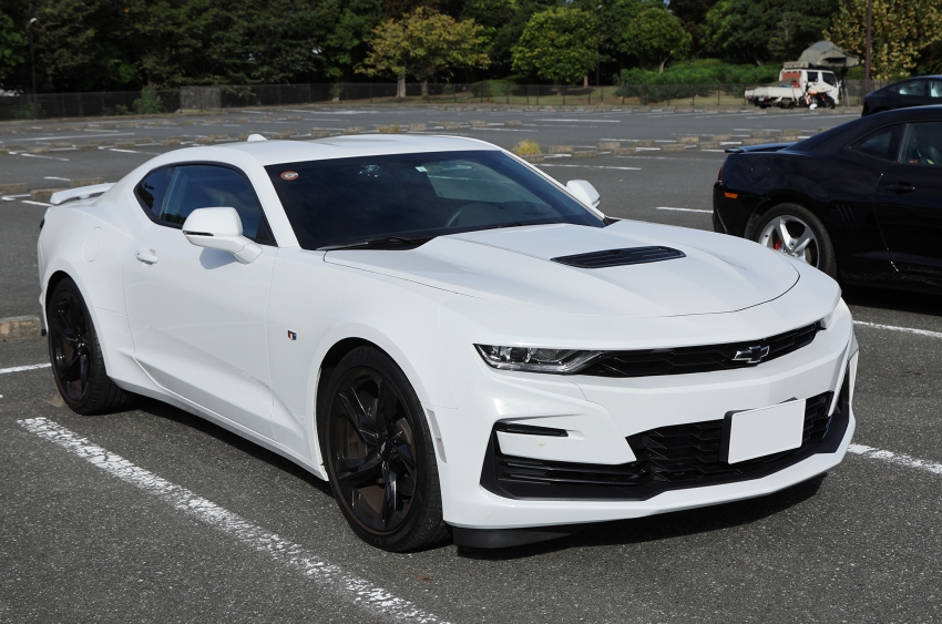 ギャラリー画像