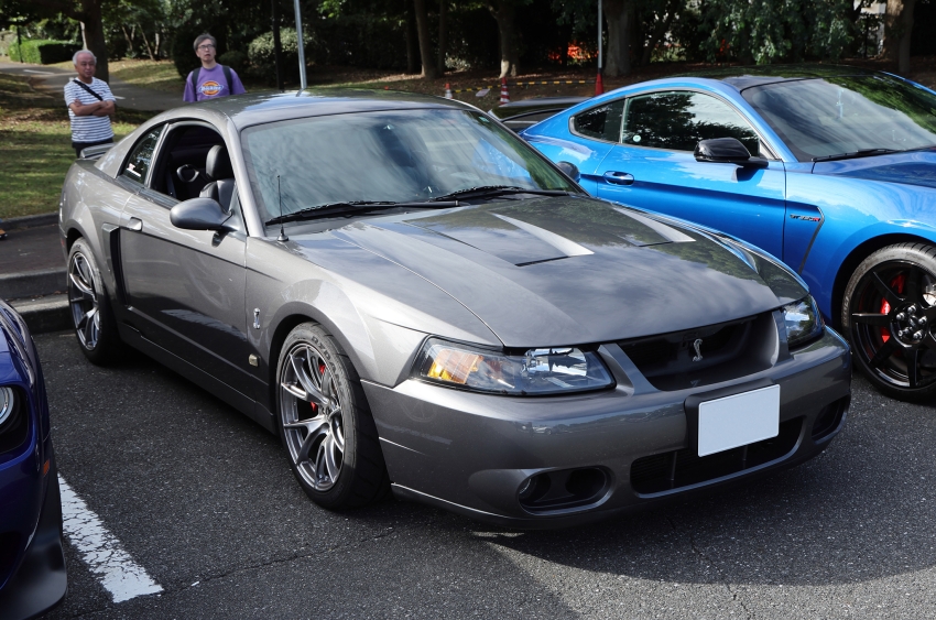 ギャラリー画像