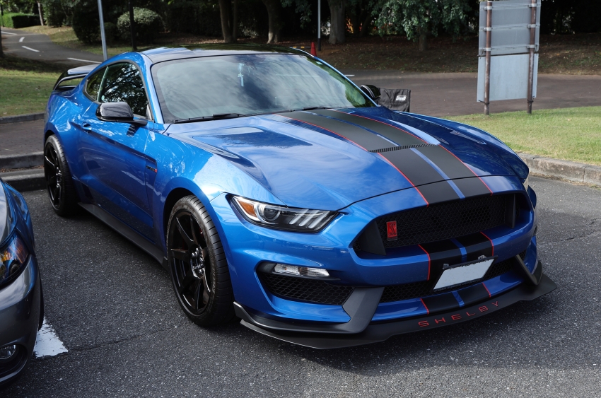 ギャラリー画像