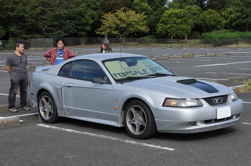 ギャラリー画像