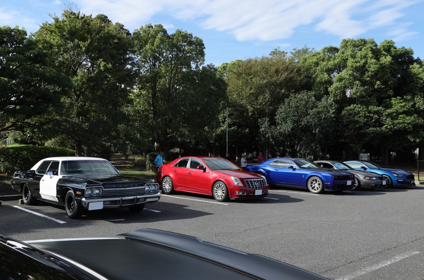 ギャラリー画像