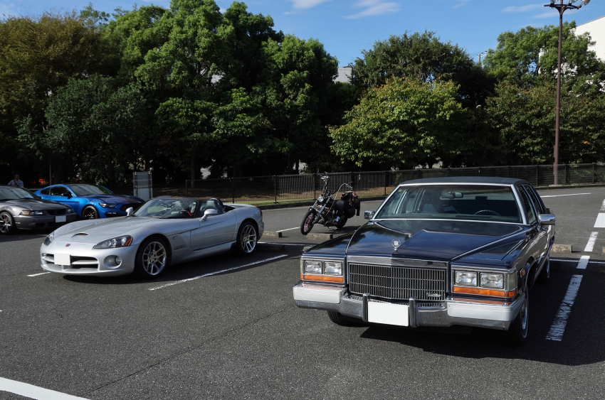 ギャラリー画像