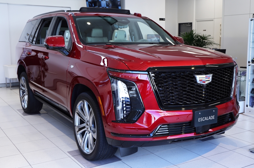 ギャラリー画像