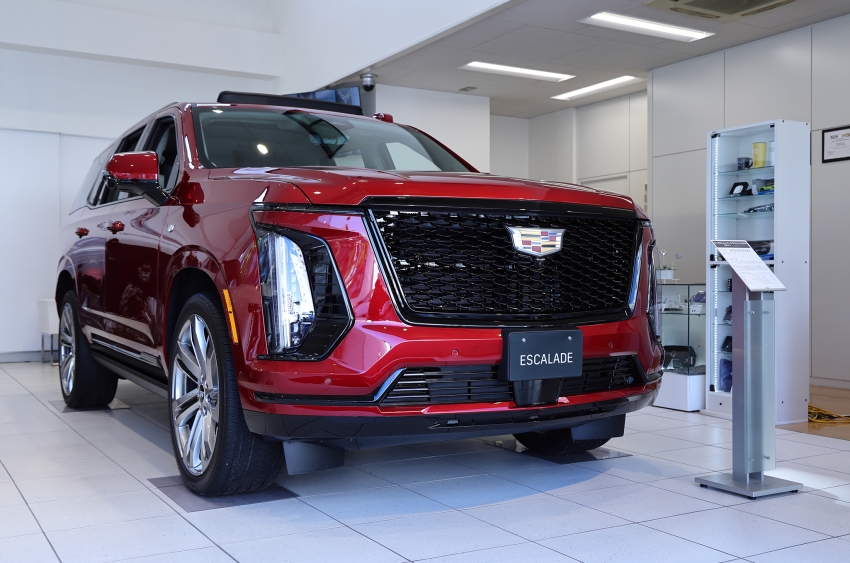 ギャラリー画像