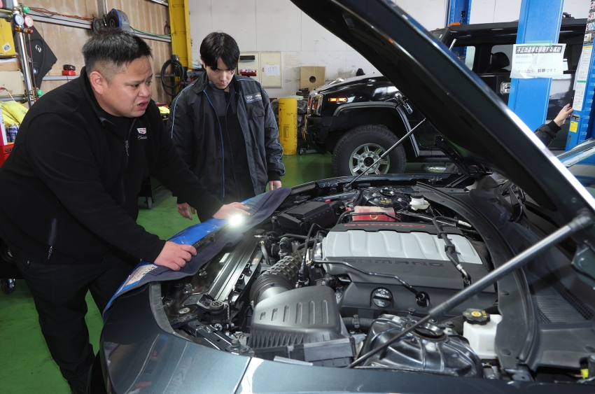 ギャラリー画像