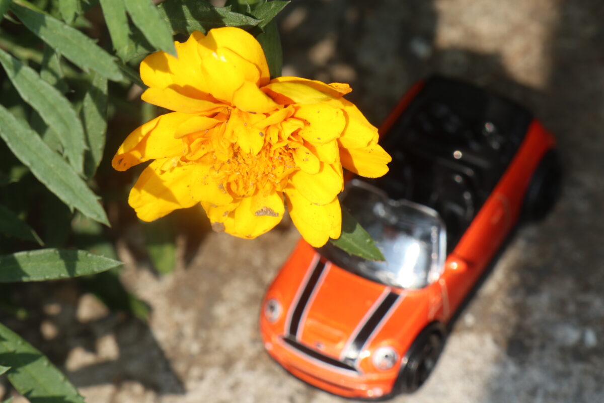 車両イメージ